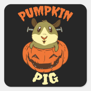 Halloween Guinea Pig Pumpkin Quadratischer Aufkleber