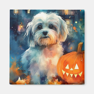 Halloween Havanese mit Pumpkins Beängstigend Magnet