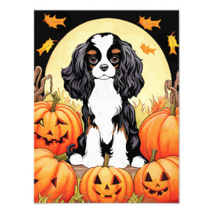 Halloween, Herbst-Themed, Tri Color Cavalier Spani Fotodruck