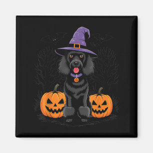 Halloween Hexen-Schwarzer Standard Pudel Hund Grus Magnet