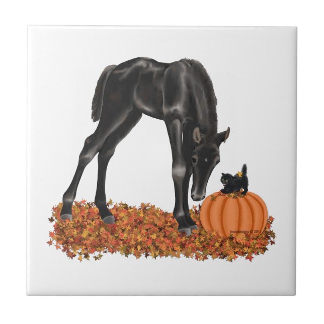 Halloween Horse Colt Kitty Fliese (Vorderseite)