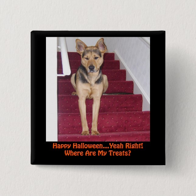 Halloween Hund Keine Leckereien Button (Vorderseite)