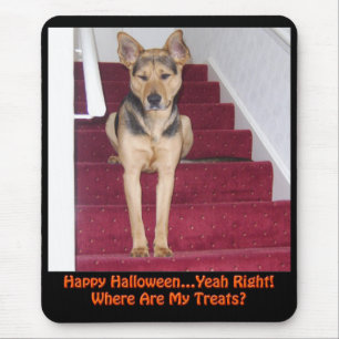 Halloween Hund Keine Leckereien Mousepad