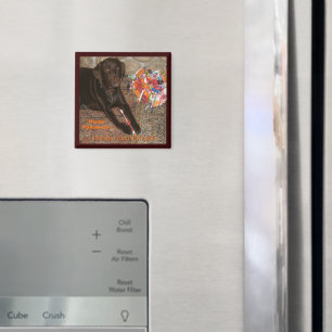 Halloween Hund mit Sweet Tooth Magnet