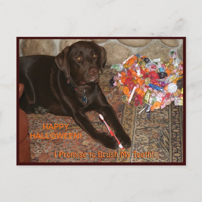 Halloween Hund mit Sweet Tooth Postkarte (Vorderseite)