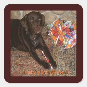 Halloween Hund mit Sweet Tooth Quadratischer Aufkleber