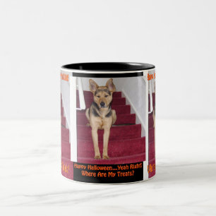 Halloween-Hund ohne Süßigkeiten Zweifarbige Tasse