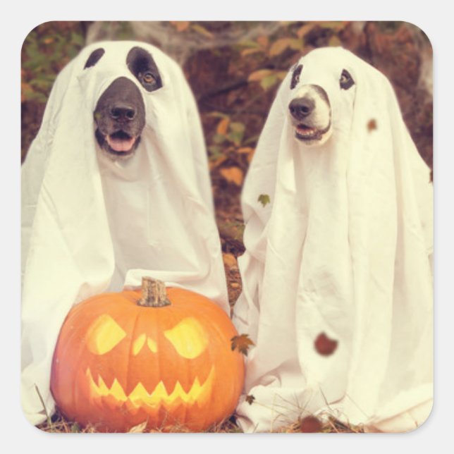 HALLOWEEN HUNDEN ALS GHOSTS SQUARE STICKER (Vorderseite)