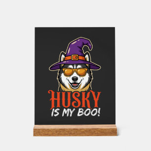 Halloween Husky ist mein Boo Hexenhut Acrylschild
