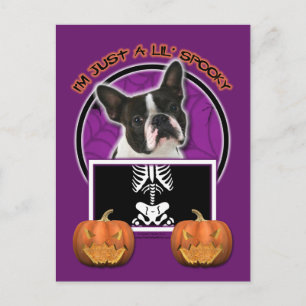 Halloween - Just a Lil Spooky - Boston Terrier Postkarte
