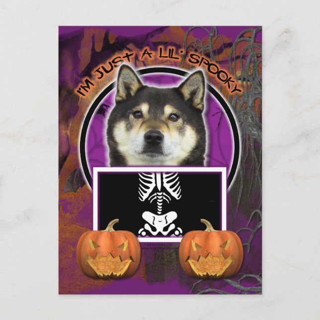Halloween - Just a Lil Spooky - Shiba Inu - Yasha Postkarte (Vorderseite)