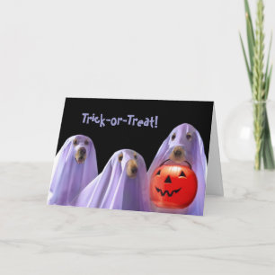 Halloween-Karte für Trick-oder-Treating-Geisterhun Karte