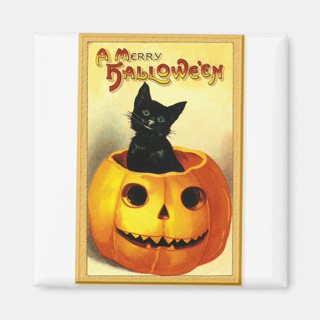 Halloween-Katze sitzt in Jack O Lantern Magnet (Vorne)