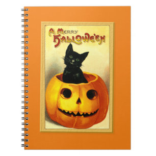 Halloween-Katze sitzt in Jack O Lantern Notizblock