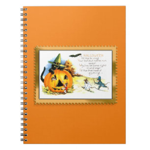 Halloween-Katze sitzt in Jack O Lantern Notizblock