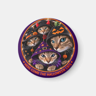 Halloween-Katzen in Hexenhüten Magnet