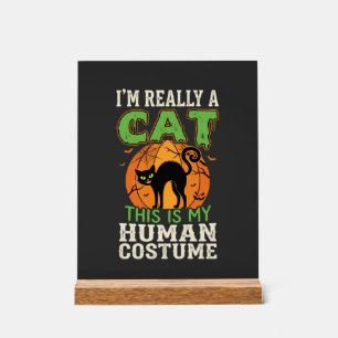 Halloween-Katzen-Mensch-Kostüm Lustiges Design Acrylschild