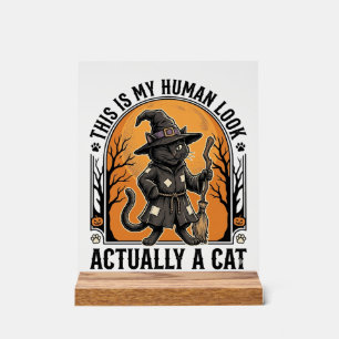 Halloween-Katzenkostüm Lustiges Vintage-Hexenkatze Acrylschild
