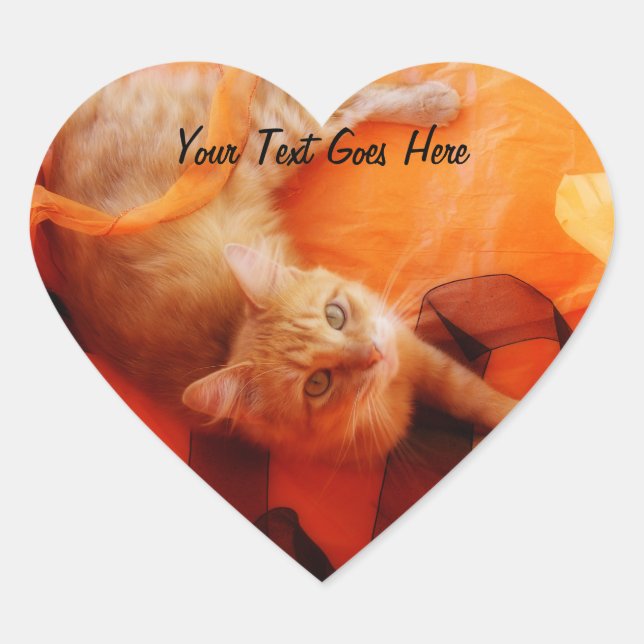 Halloween Kitty Heart Stickers (Vorderseite)