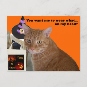 Halloween Kitty - Wear What Postkarte