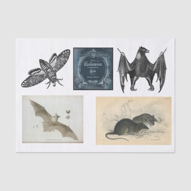 Halloween-Kollektion Seidenpapier (Vorderseite)