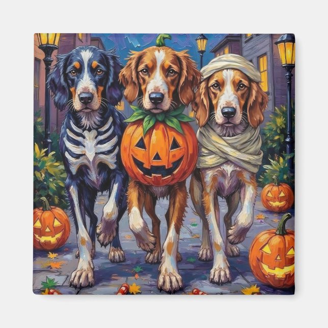 Halloween-Kostüm des englischen Setters Magnet (Vorne)