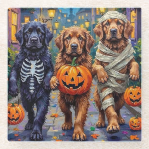 Halloween-Kostüme der Neufundländer Glasuntersetzer