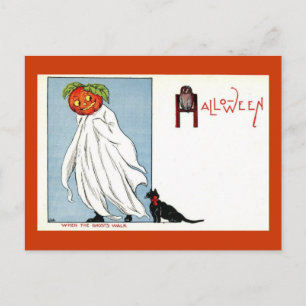Halloween-Kürbis-Geist schwarze Katze Vintage Postkarte