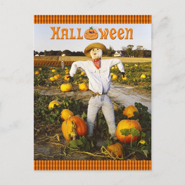 Halloween-Kürbis Postkarte (Vorderseite)