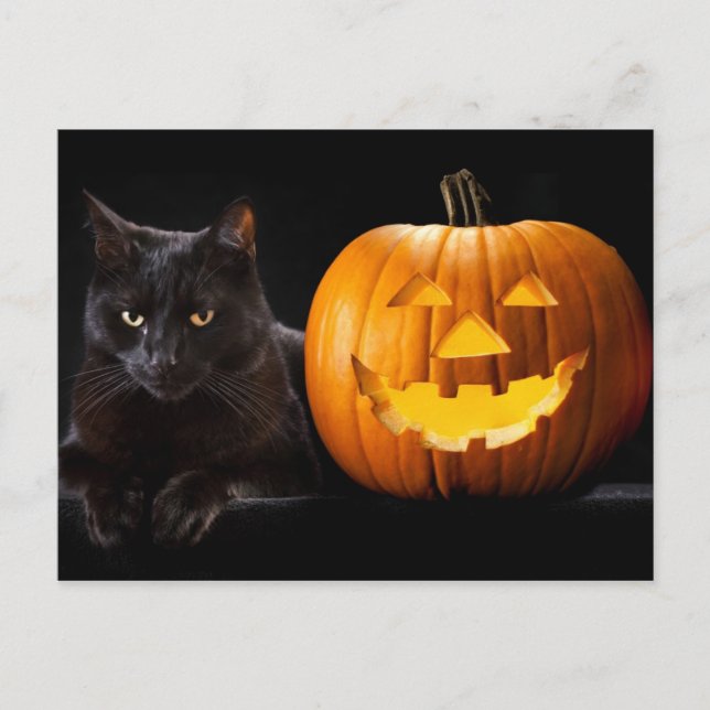 Halloween Kürbis und Schwarze Katze Postkarte (Vorderseite)