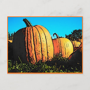 Halloween-Kürbisfeld bei Tageslicht Postkarte