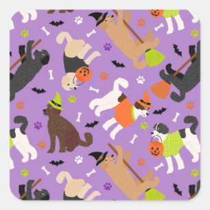 Halloween Labradoodle / Goldendoodle Square Sticke Quadratischer Aufkleber