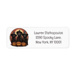 Halloween Labrador Retriever Hunde Hexenhats