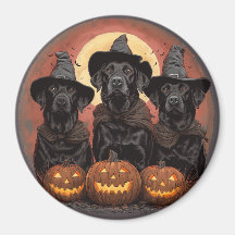 Halloween Labrador Retriever Hunde Hexenhats