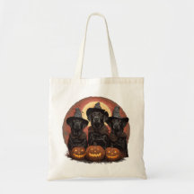 Halloween Labrador Retriever Hunde Hexenhats