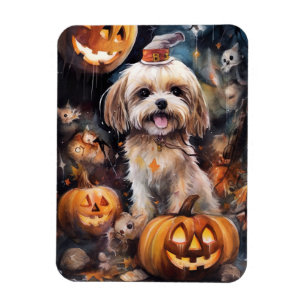 Halloween Lhasa Apso mit Pumpkins Beängstigend Magnet