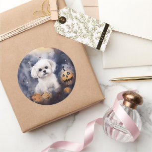 Halloween Maltesisch mit Pumpkins Beängstigend Runder Aufkleber