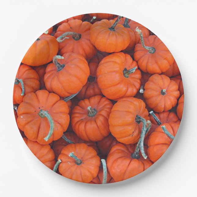 Halloween Mini Pumpkin Herbstmuster Foto Pappteller (Vorderseite)