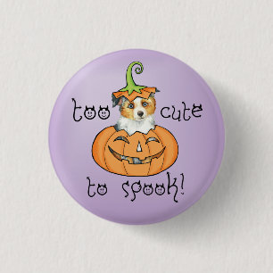 Halloween Miniaturamerikanischer Schäferhund Button