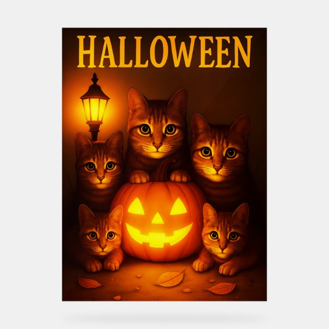 Halloween mit Cat Orange Digital Art Acrylschild (Vorderseite)