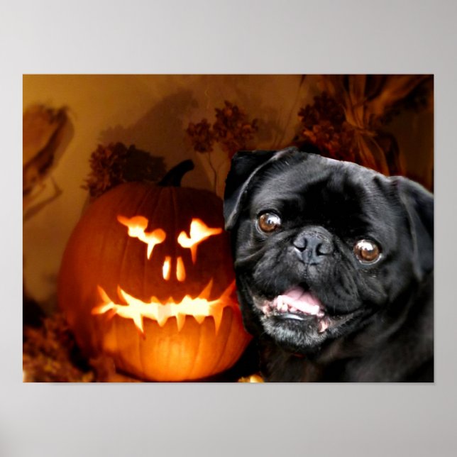Halloween Mops Dog Poster (Vorne)