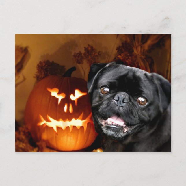 Halloween Mops Dog Postkarte (Vorderseite)