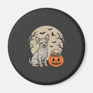 Halloween-Mummy-Hund und Kürbis-Süßigkeiten Magnet