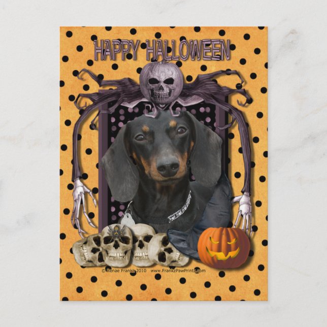 Halloween Nightmare - Dackel - Winston Postkarte (Vorderseite)