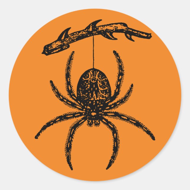Halloween Orange Spider Classic Round Sticker (Vorderseite)
