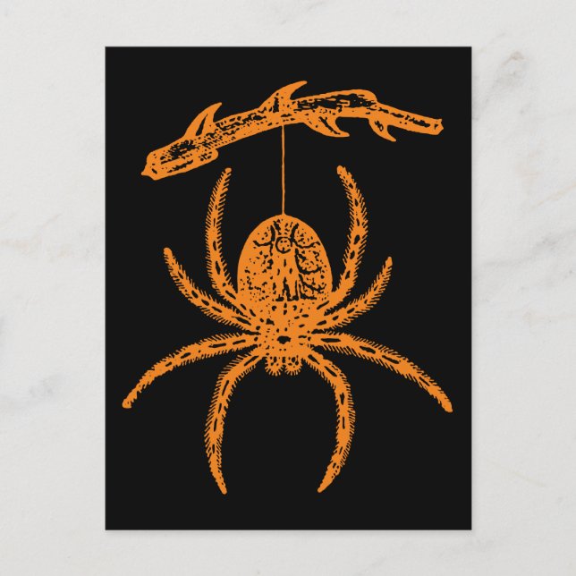 Halloween Orange Spider Postkarte (Vorderseite)