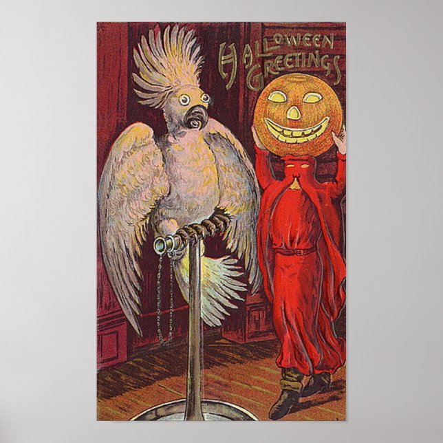 Halloween Parrot und Pumpkin Poster (Vorne)