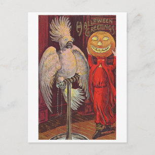 Halloween Parrot und Pumpkin Postkarte