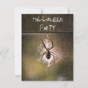 Halloween-Party Einladung riesige Schreibspinnen W