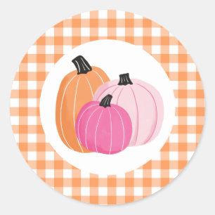 Halloween Pink Pumpkins Orange Kariert Runder Aufkleber